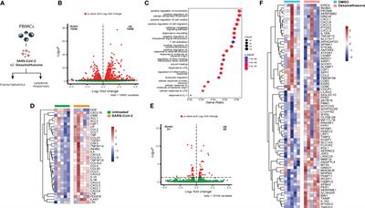 Dexamethasone attenuates interferon-related cytokine hyperresponsiveness in COVID-19 patients